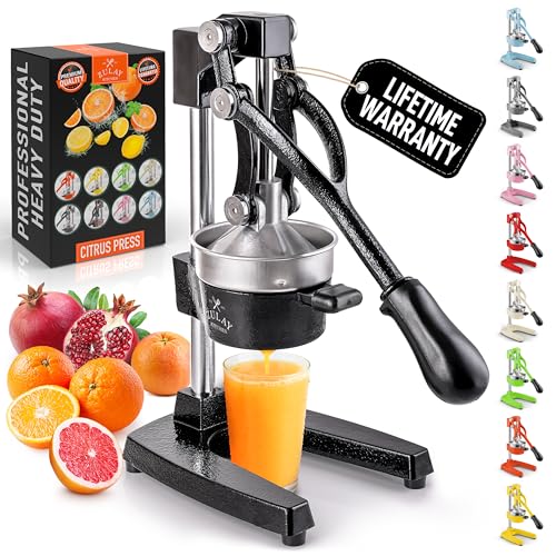 Best Manual Citrus Juicer